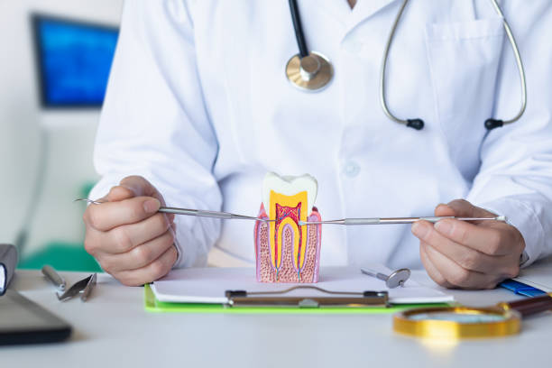 Best Emergency Denture Repair in Lden, MA